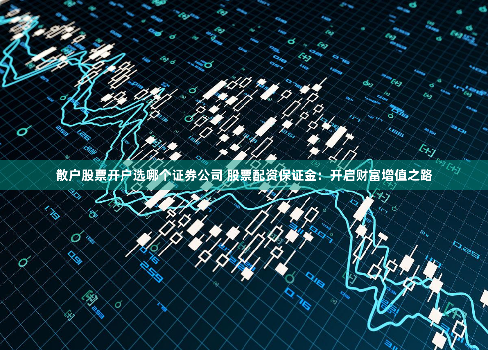 散户股票开户选哪个证券公司 股票配资保证金:开启财富增值之路